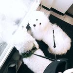 Jesse & Justus - @jessejajustus - Instagram