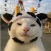 Jess - @jessekayee - TikTok