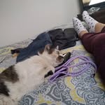 Jesse Kaye - @jesse.kaye.330 - Instagram
