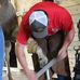 Jesse Kearns Farrier Services - Facebook