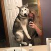 Jessie kearns - @jessiekearns01 - TikTok