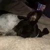 jessekeeney7 - @jessekeeney7 - TikTok