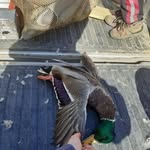 Jesse Killion - @rivervalleytackle - Instagram