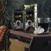 Jesse Colin Young's Morning Sun Kona Coffee - Facebook