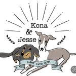 ⚠️迷子犬ジェシー捜索中⚠️ - @kona.jesse - Instagram