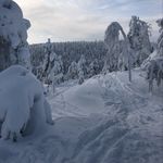 Jesse.koski - @jebo.koskine - Instagram