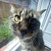 Jessie Krueger - Facebook
