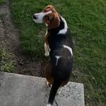 Jesse krug - @krug3226 - Instagram