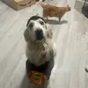 jesse_kruger574 - @jessekruger7 - TikTok