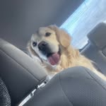 Jesse Kruger - @jesse_kruger574 - Instagram
