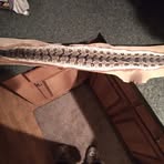 Jesse Lancaster - Facebook