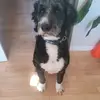 gee - @jesseylanglois8 - TikTok