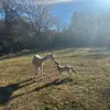 Larry & Jesse - @larry.jesse80 - TikTok