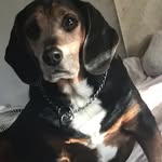 Jesse Leeper - @giorno.solos - Instagram