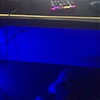 JL🔋 - @jesseleo50 - TikTok
