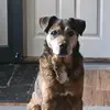 Jesse Levesque - @jesse.levesque - TikTok