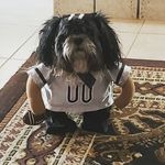 JESSE LEYVA - @oldtimergamer58comics - Instagram