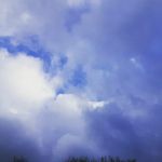 Jesse Lindeman - @lindjesjes - Instagram
