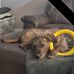 Jesse Lindeman - Facebook