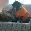 Jesse Littrell - @jesse.littrell - TikTok