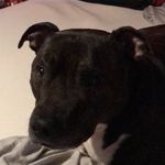 Jesse Lloyd - @_jesse_lloyd_ - Instagram