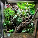 Jesse + Lou - @exoticpets_4 - Instagram