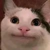 jesselou - @jesselou.1 - TikTok