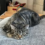 Jesse Louden - @jesse_louden - Instagram