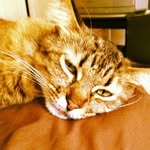 Jesse Loving - @jesselove533 - Instagram