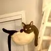 Jesse Lowman - @jesse.lowman - TikTok
