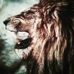 Jesse Loya - @mr.loya.jr - Instagram