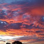 Jesse Mabry Hawk - @jessemabryhawk - Instagram