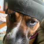 Jesse MacNeil - @jesse_macneil1 - Instagram