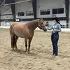 Jessie Macy - @jessie.macy3 - TikTok