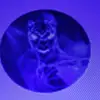 Jesse Madrigal - @jesse.madrigal0 - TikTok