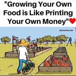 Jesse Maina Yarakawa - @jessemainayarakawa - Instagram