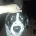 Jesse Malin - Facebook