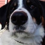 Jesse Malin - @jessemalin_ - Instagram