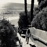 Jessie Marchese - @jessie.marchese.photography - Instagram