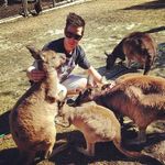Jesse Marks - @jesse.marks.393 - Instagram
