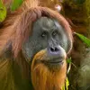 jessemarks - @jesse_marks - TikTok