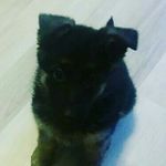 jesse matias näveri - @jessematiasnaveri - Instagram