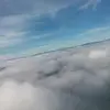 Jesse Maurer - @jessemaurer350 - TikTok