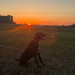 Jesse Maurer - @jmaurer43 - Instagram