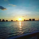 Jesse Maynard - @jessemaynard11 - Instagram