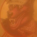 Jesse Maynard - @jesse.maynard.581 - Instagram