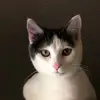 Jesse M. - @jessemccain80 - TikTok