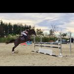 Jesse Mccann - @jess_mccann_nz - Instagram