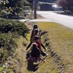 Jesse McCann - @jesse.mccann.7 - Instagram