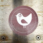 Jesse McCarter - @joshuledev - Instagram